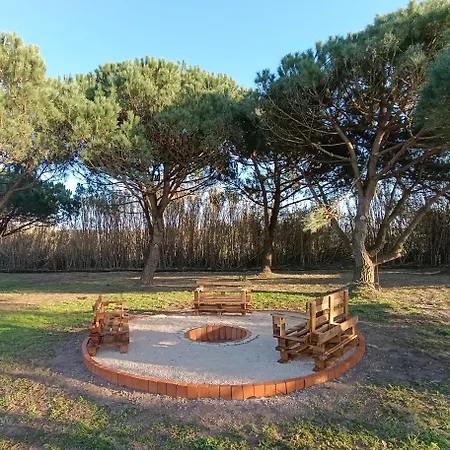 Catshouse Campingplatz