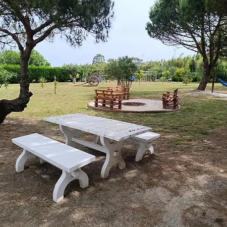 Catshouse * Carqueja