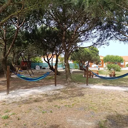 Catshouse * Carqueja