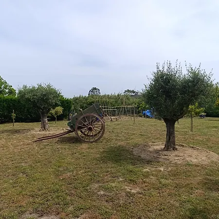 Κάμπινγκ Catshouse