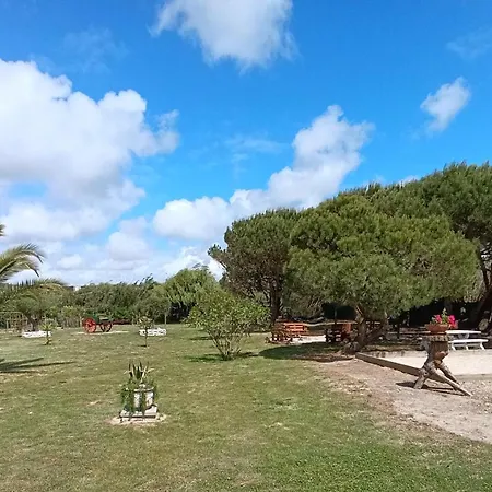 Catshouse Campsite Carqueja
