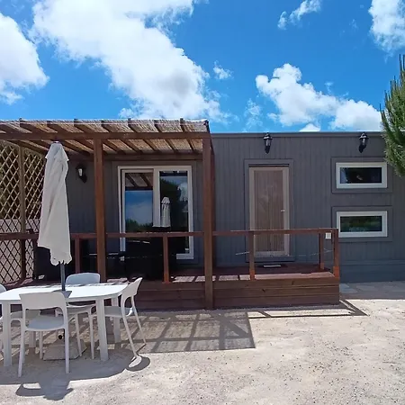 Catshouse Carqueja