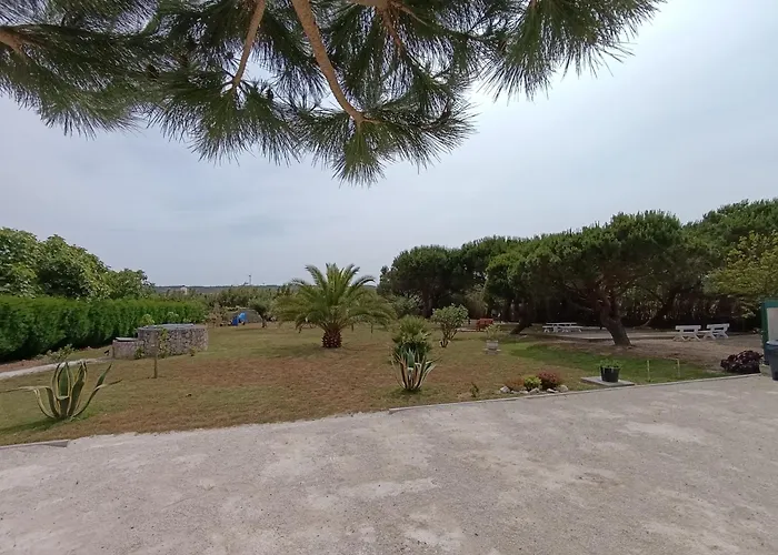 Catshouse * Carqueja