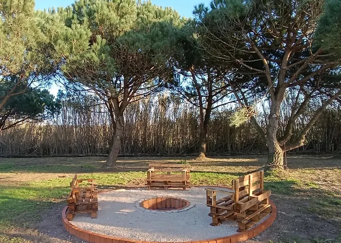 Catshouse Κάμπινγκ