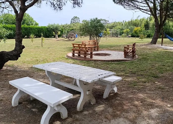 Catshouse * Carqueja