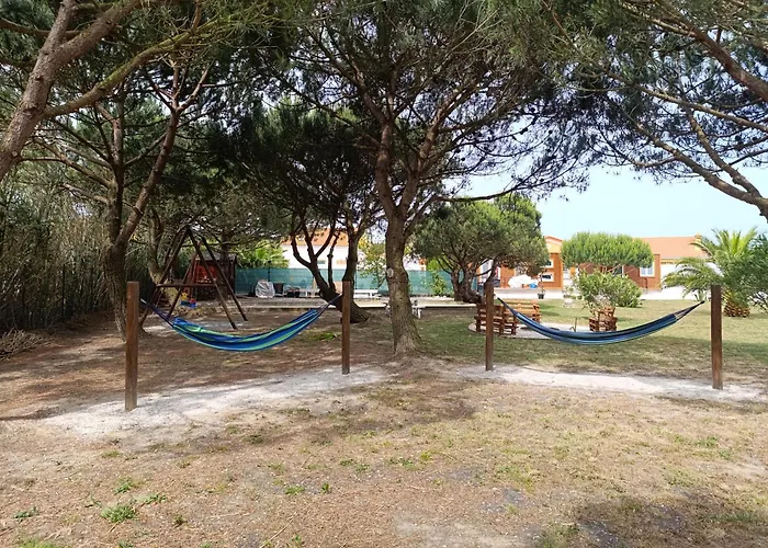 Catshouse * Carqueja